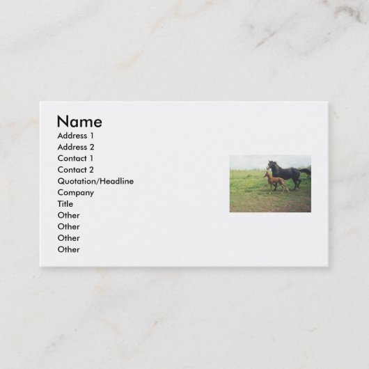 エンジェル&スポット 名刺 (正面)