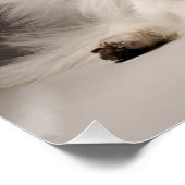 エンジェル・ドッグ ポスター (コーナー)