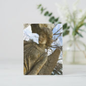 エンジェル ポストカード (スタンド正面)