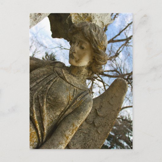 エンジェル ポストカード (正面)