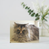 エンジェル ポストカード (スタンド正面)