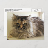 エンジェル ポストカード (正面/裏面)