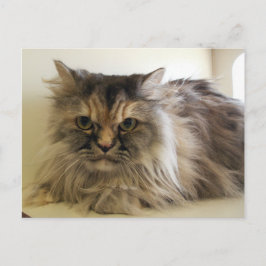 エンジェル ポストカード