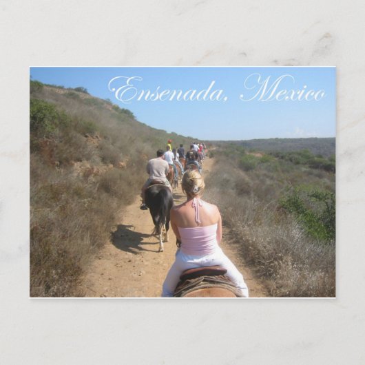 エンセナダ、メキシコ2 ポストカード (正面)