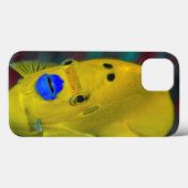 エンゼルフィッシュのクローズアップ Case-Mate iPhoneケース (裏面 (横))
