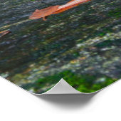 エンダーの滝秋 ポスター (角)