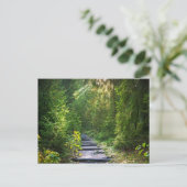 エンチャントされた森林のパス1 ポストカード (スタンド正面)