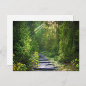 エンチャントされた森林のパス1 ポストカード (正面/裏面)