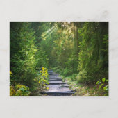 エンチャントされた森林のパス1 ポストカード (正面)