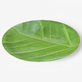 エンチャントグリーンリーフデザイン9インチラウンド ペーパープレート (アングル)