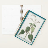 エンチャントズナイトシェードプランナー プランナー手帳 (ディスプレー)