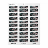 エンチャントナイトスカイ夕べビーチライツ結婚ズ ラベル (フルシート)