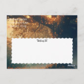 エンチャントフォレストオークツリー妖精のライト日救付付 ポストカード (裏面)