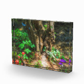 エンチャントメント フォトブロック (右)