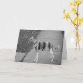 エンツォの挨拶状 カード (黄色い花)