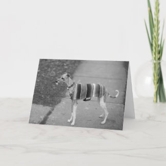 エンツォの挨拶状 カード