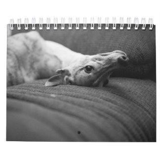 エンツォの生命の年 カレンダー