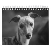 エンツォの生命の年 カレンダー (カバー)