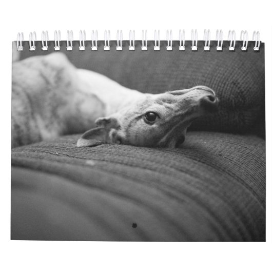 エンツォの生命の年 カレンダー (裏面)