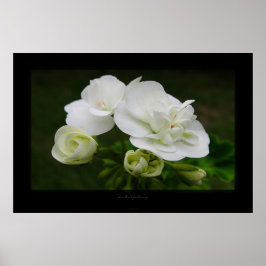 エンツファルトン死ぬ ポスター