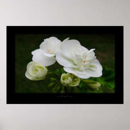 エンツファルトン死ぬ ポスター (正面)