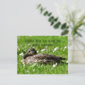 エンテアウイナーヴィーズポストカルテ ポストカード (スタンド正面)