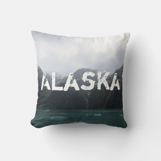 エンディコットの腕のフィヨルドの枕 クッション (正面)