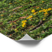 エンデン・グース、ロースパーク・レイク、カーディフ、ウェールズ。 ポスター (角)