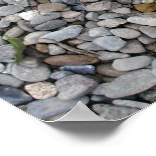 エントロピー ポスター (角)