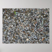 エントロピー ポスター (正面)