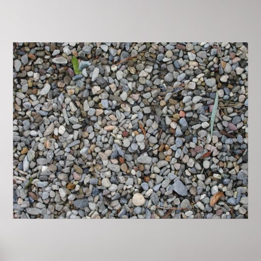 エントロピー ポスター (正面)