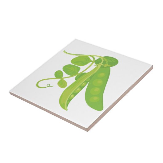 エンドウ植物 タイル (側面)