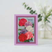 エンドウ豆の植物ヴィンテージシードパケットアート ポストカード (スタンド正面)