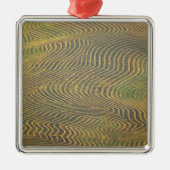 エンドウ豆は冬枯れし、収穫を待っていた メタルオーナメント (正面)