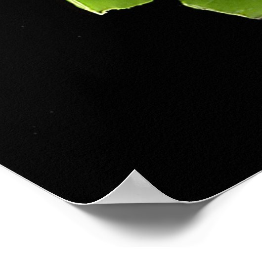 エンドウ豆 ポスター (角)