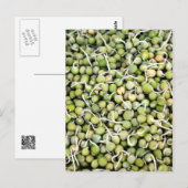 エンドウ豆 ポストカード (正面/裏面)