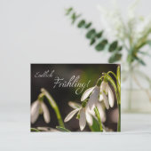 エンドリッチ・フュリング！ ポストカード (スタンド正面)