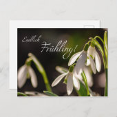 エンドリッチ・フュリング！ ポストカード (正面/裏面)