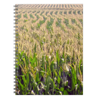 エンドレスのコーンスパイラルノート ノートブック
