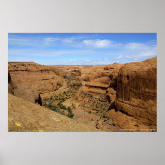 エンドレス峡谷 ポスター