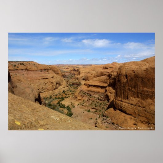 エンドレス峡谷 ポスター (正面)