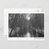 エンドレス川はがき ポストカード (正面/裏面)