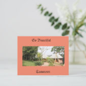 エンドロイト·デ·ロイシール·オ·カメルーン シーズンポストカード (スタンド正面)