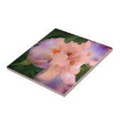 エンハンスドピーチ&パープルアイリス タイル (側面)