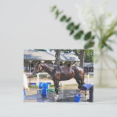 エンパイアステークス賞受賞者「サラトガスナック」 ポストカード (スタンド正面)