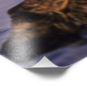 エンヒドラルトリス・シーオッターズ フォトプリント            (角)