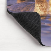 エンヒドラルトリス・シーオッターズ マウスパッド (コーナー)