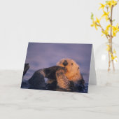 エンヒドラルトリス・シーオッター カード (黄色い花)