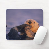 エンヒドラルトリス・シーオッター マウスパッド (マウス)