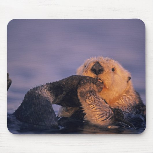 エンヒドラルトリス・シーオッター マウスパッド (正面)